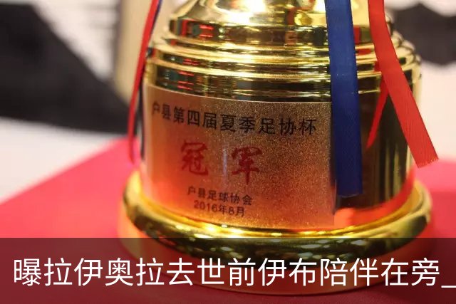 曝拉伊奥拉去世前伊布陪伴在旁 两人合作多年